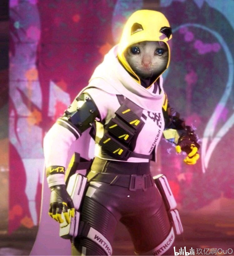 IP
